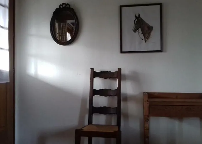 Aux Trois Damoiselles